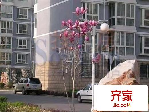 自然佳境外景图