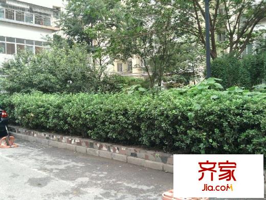 鴨子橋外景圖綠化圖