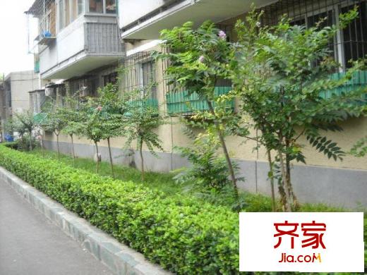 水碓子北里外景图楼盘图