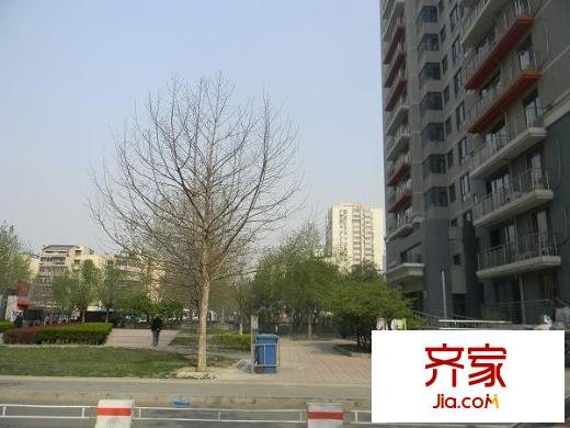 银领国际外景图