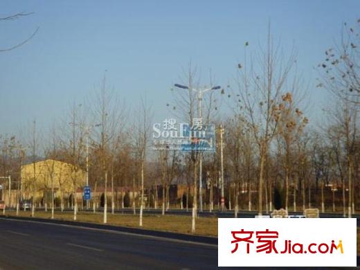 柏林山水别墅配套图道路