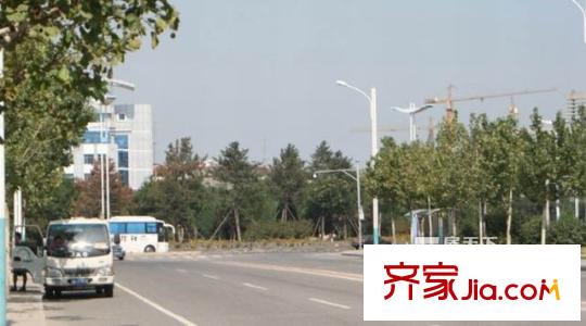 柏林山水别墅配套图道路