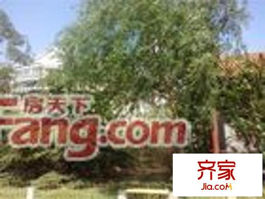枫泽园外景图