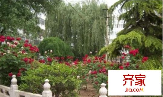 蒲安东里外景图