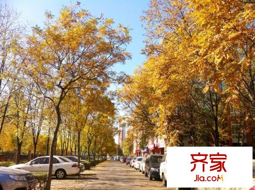 当代城市家园外景图