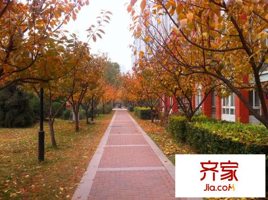 当代城市家园外景图