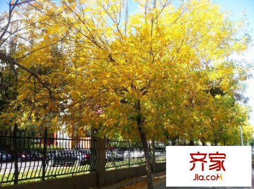 当代城市家园外景图