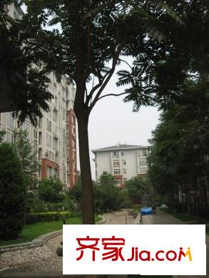 当代城市家园配套图绿化