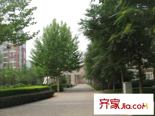 当代城市家园配套图道路
