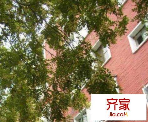 学院南路72号院外景图