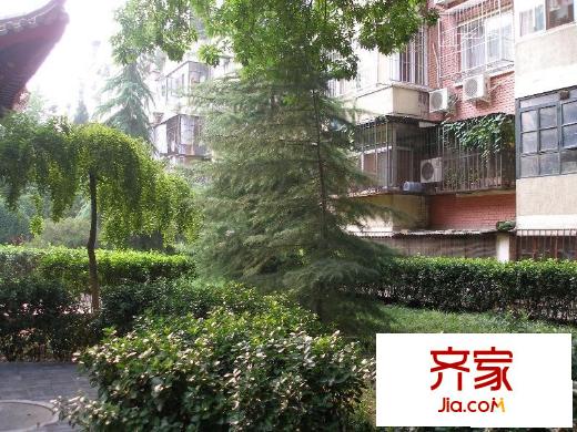 姚家井小區(qū)外景圖綠化圖
