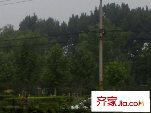 中水金海嘉苑配套图周边活动区
