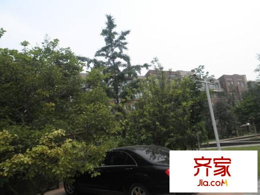 领秀新硅谷外景图