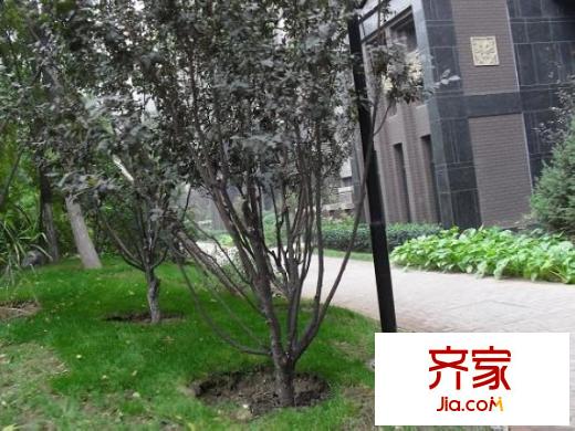万科中粮假日风景外景图