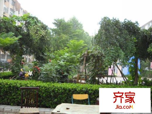 平乐园小区外景图绿化图