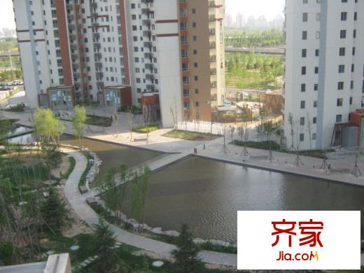 上元君庭外景图小区水系