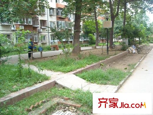 西马庄园配套图绿化
