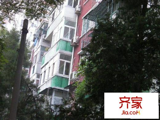 关东店北街外景图小区楼房图