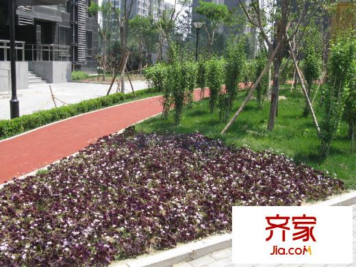 国风上观外景图