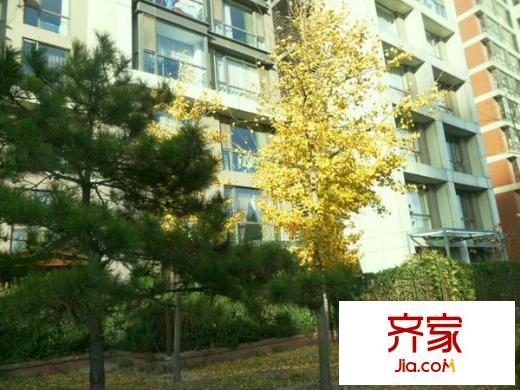 朝庭公寓外景图