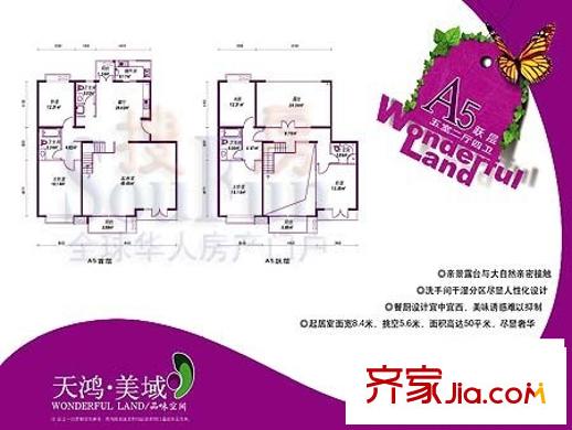 天鸿美域户型图A5户型 5室2厅4卫1厨