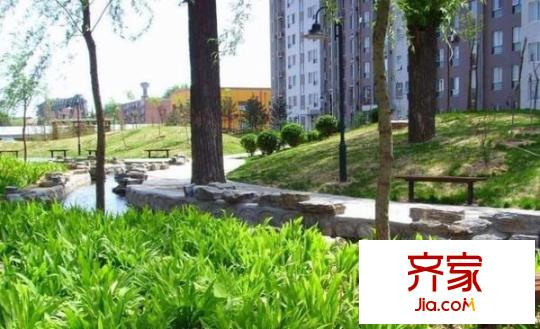 华龙美树外景图
