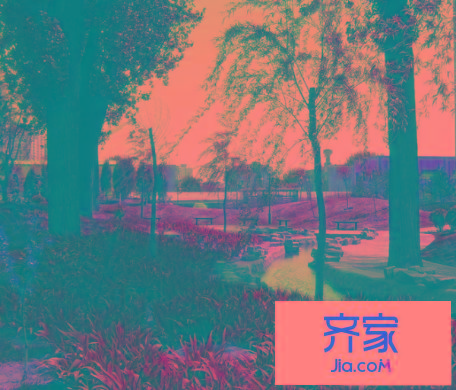 华龙美树外景图