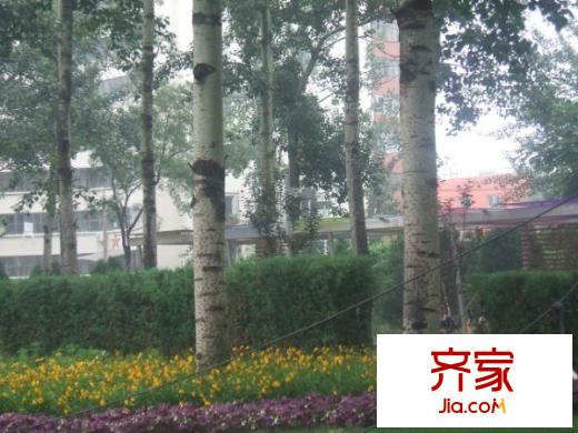 王庄路27号院外景图