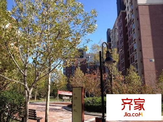 橡树湾外景图