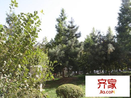 朝庭公寓外景图