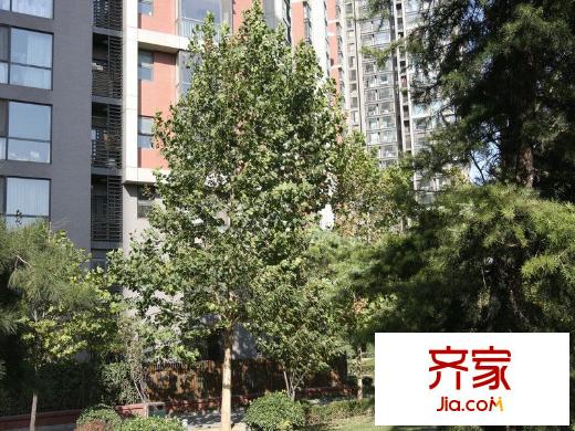 朝庭公寓外景图
