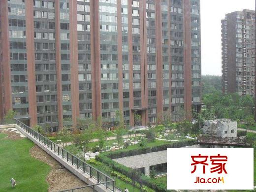融科橄榄城外景图