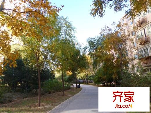 龍澤苑西區(qū)外景圖 