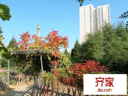 龍澤苑西區(qū)外景圖 
