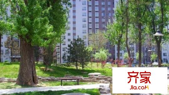 华龙美树外景图