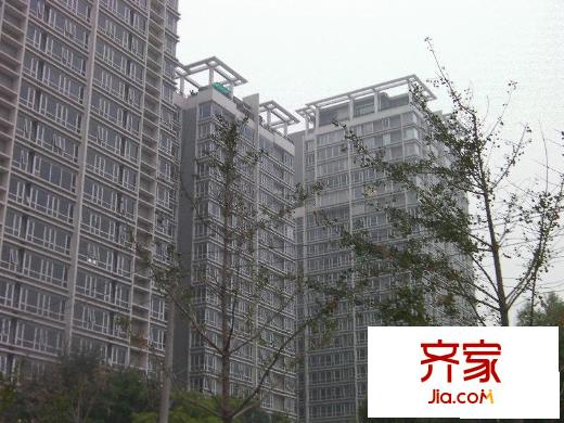 亮马名居外景图小区楼房图