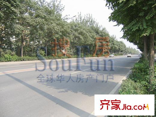 富力桃园配套图项目东边的马路
