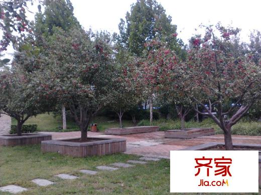 美丽经典园外景图