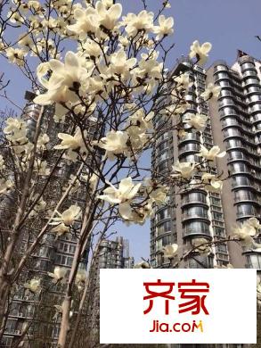 鹿港嘉苑外景图