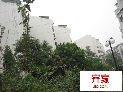 阳光南里外景图绿化