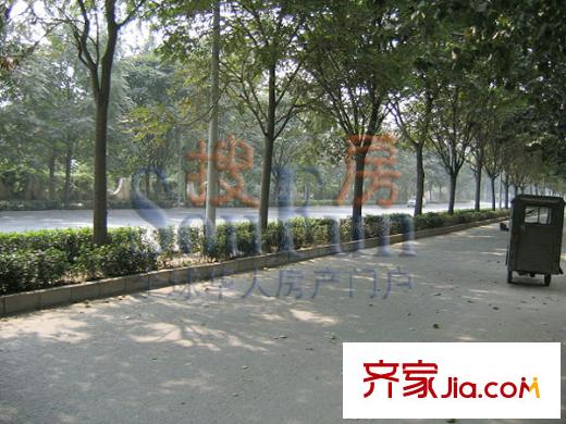 富力桃园配套图项目东边的马路