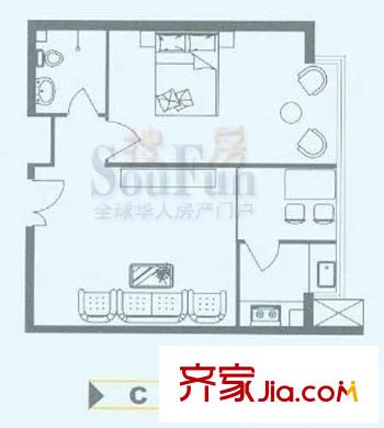 懿品阁户型图C户型 1室2厅1卫1厨