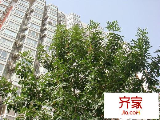 豪威嘉园外景图绿化图