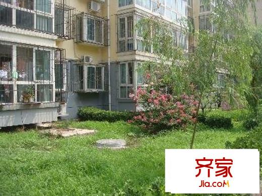 东鱼市口胡同外景图绿化