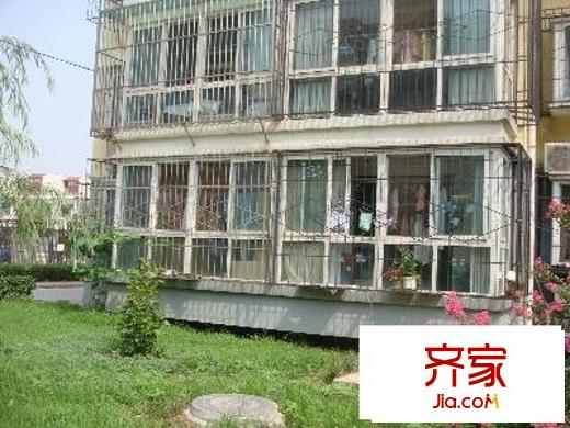 东鱼市口胡同外景图绿化