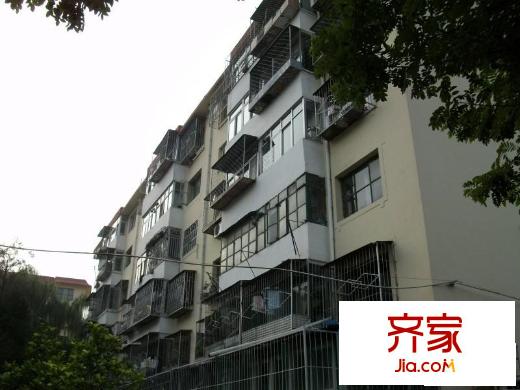 义宾南区外景图楼盘图
