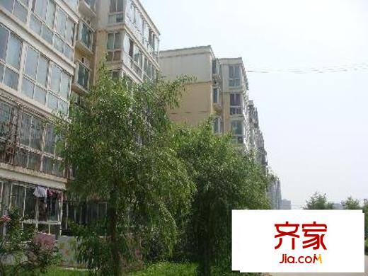 东鱼市口胡同外景图绿化