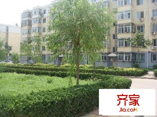 东鱼市口胡同外景图绿化