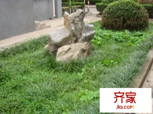 航天部大院外景图绿化图
