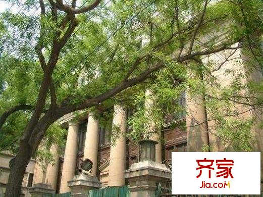 西交民巷小區(qū)外景圖 